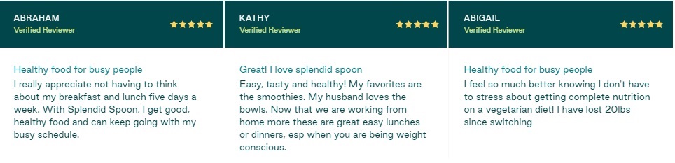 reviews of splendid spoon