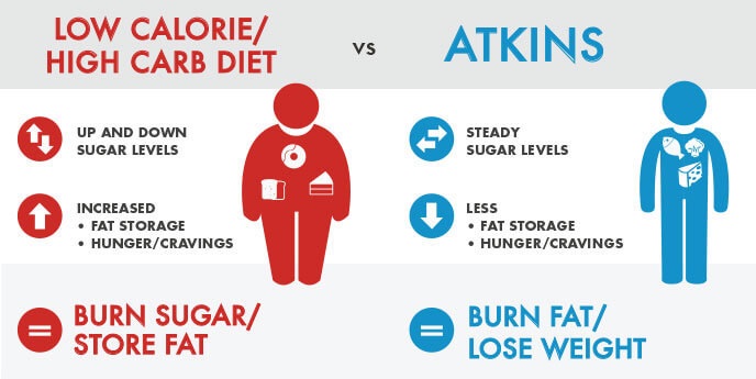atkins vs other diet reviews