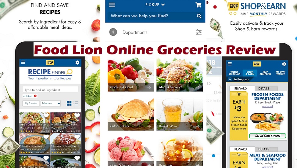 Food Lion Online Groceries Review Is The Delivery Worth It?